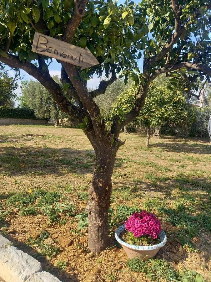Holiday home La Casa Del Nespolo Villa Calabernardo